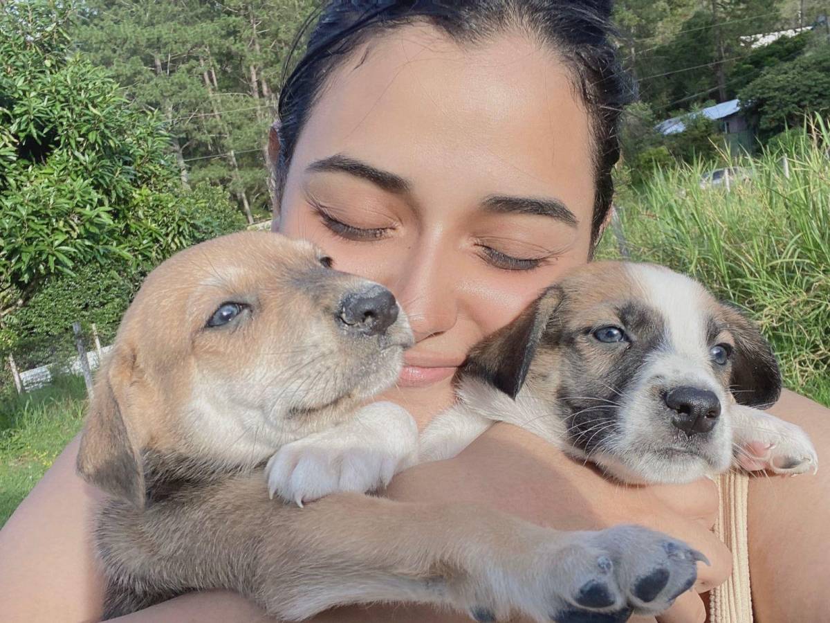 Salvando Huellas CLOBI: un refugio de esperanza para animales callejeros Salvando Huellas CLOBI: un refugio de esperanza para animales callejeros