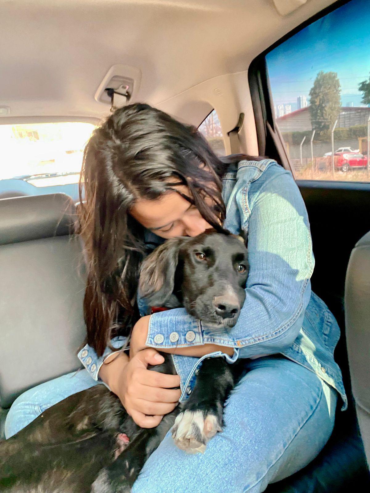 Salvando Huellas CLOBI: un refugio de esperanza para animales callejeros Salvando Huellas CLOBI: un refugio de esperanza para animales callejeros