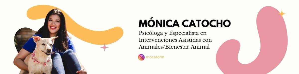 Héroes sin capa: ¿y si adoptar fuera tu superpoder? Héroes sin capa: ¿y si adoptar fuera tu superpoder?