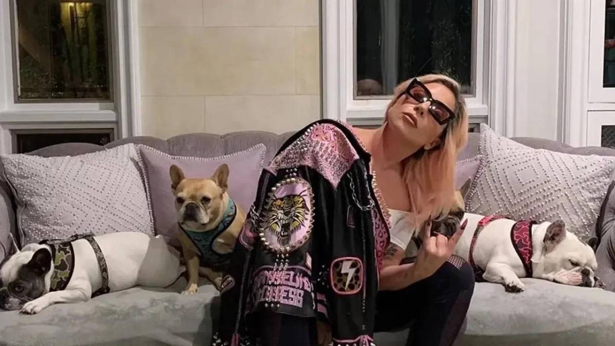 Gustav, Koji y Asia son los nombres de los perros de la cantante. Gustav, Koji y Asia son los nombres de los perros de la cantante.