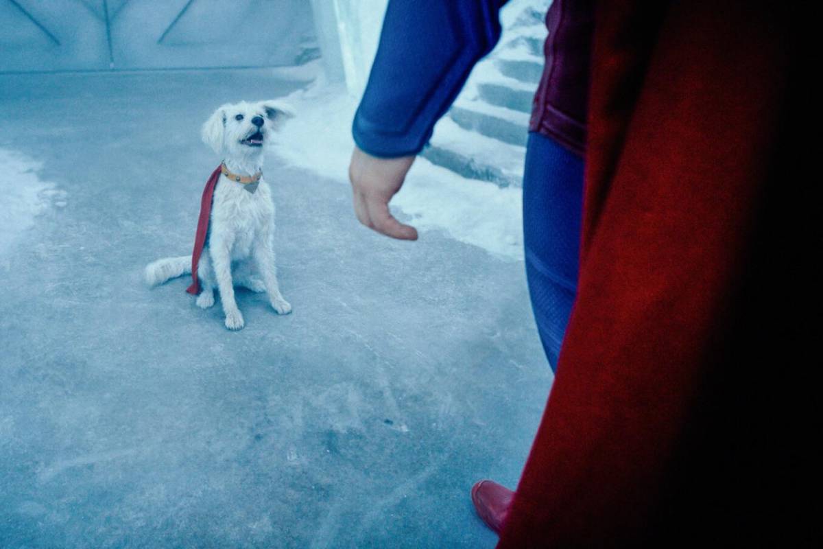 Héroes sin capa: ¿y si adoptar fuera tu superpoder? Héroes sin capa: ¿y si adoptar fuera tu superpoder?