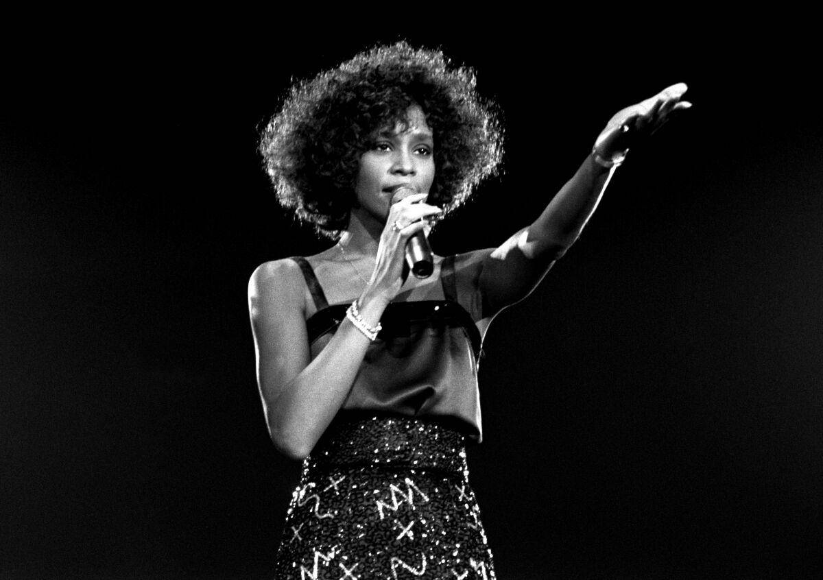 Whitney nació el 9 de agosto de 1963 en New Jersey y murió el 11 de febrero de 2012 en Beverly Hills a causa de un ahogamiento en la bañera, tras sufrir un fallo cardíaco.