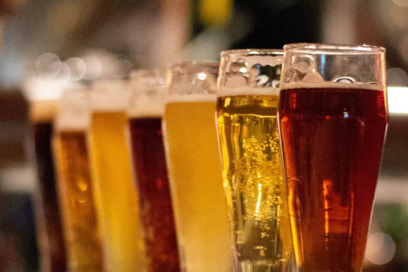 ¿Ya conocías todos los estilos de cerveza que existen?