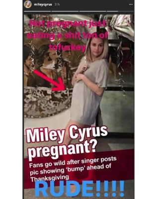 Miley Cyrus ¿Embarazada?
