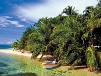 PANAMÁLas playas en Boca del Toro son el referente indiscutido del Caribe panameño y cautivan al visitante por la vegetación que le rodea: bosques húmedos, selva, manglares y pantanos; que son hogar de más de 350 especies de aves, ranas,monos, osos perezosos y caimanes.