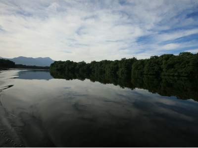 Cuero y Salado Manglares, lagunas, esteros, costas y 13,215 hectáreas de pantanos forman una rica biodiversidad en la desembocadura de los ríos del mismo nombre. Multitud de canales terrestres y fluviales dan albergue a infinidad de especies, entre ellas el manatí, osos perezosos, aves, peces, crustáceos y cocodrilos que conviven entre el agua y la impresionante vegetación.