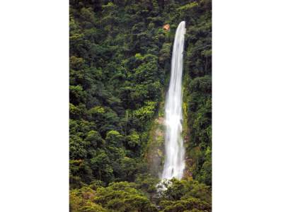 Parque Nacional Pico BonitoEn La Ceiba encontramos uno de los Parques Nacionales más exhuberantes de toda la región: el Par-que Nacional Pico Bonito, una impresionante extensión de bosque a 2435 metros de altura sobre el nivel del mar y que reúne varios ecosistemas debido a la diferencia de altura. Pico Bonito es una de las montañas más difíciles de escalar.