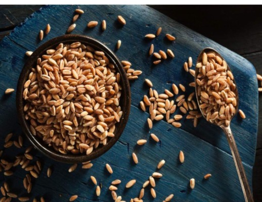 Farro, es un grano entero muy duro, pero con mucha fibra y proteína