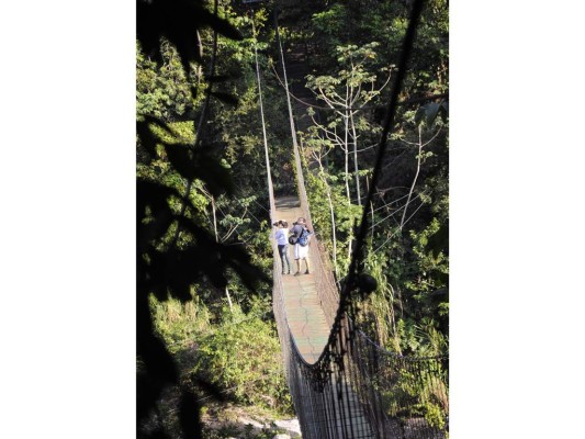 Este puente hamaca es la entrada al Parque Nacional Pico Bonito. Foto: Honduras Tips. Este puente hamaca es la entrada al Parque Nacional Pico Bonito. Foto: Honduras Tips.