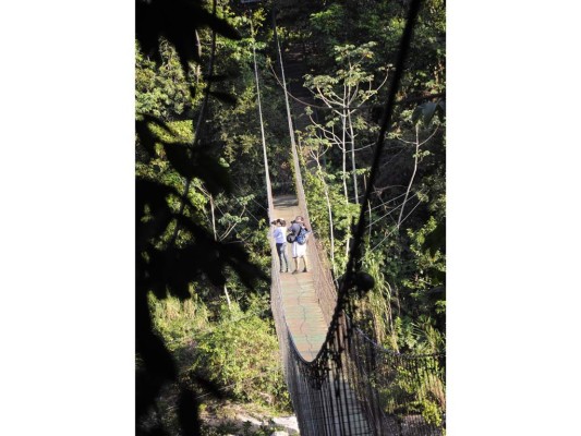 Este puente hamaca es la entrada al Parque Nacional Pico Bonito. Foto: Honduras Tips.