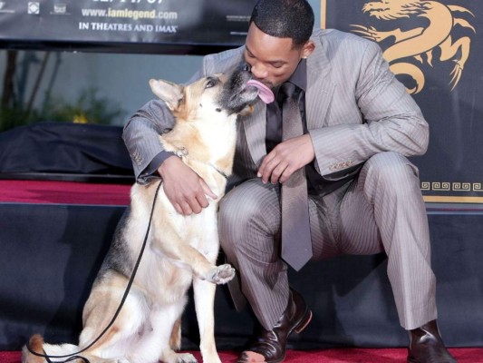 Will Smith y su Rottweiler<br/><br/>Sin importar la edad o sexo, no pueden negar que su amor sin condiciones los hace sentir completamente amados y protegidos.