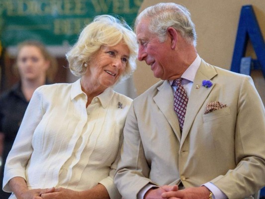 ¿Por qué Camilla no estará junto a Charles en su cumpleaños?