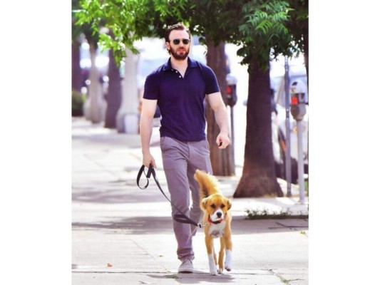 Chris Evans y Dodger