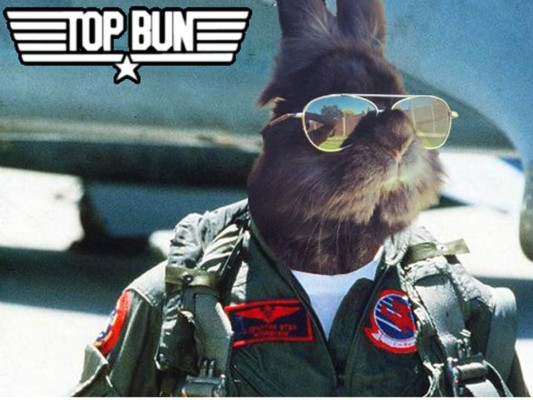 Top Bun, el conejo que conquista Facebook