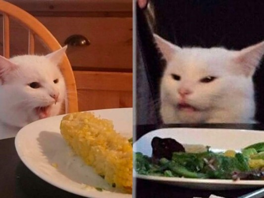 ¡Los mejores memes del famoso gato en la mesa!
