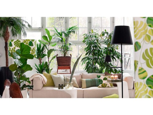 Crea tu propia jungla tropical con especies de hojas brillantes, que contrasten con las tonalidades de tapicerías y paredes para mayor efecto drama. Coloca las plantas de manera que reciban iluminación perfecta y trata de elegir especies resistentes y de cuidados mínimos. Considera colocarlas en diferentes alturas procurando siempre el balance y un look estético.<br/>