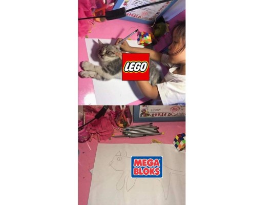 Los mejores memes de la niña que dibuja a su gato