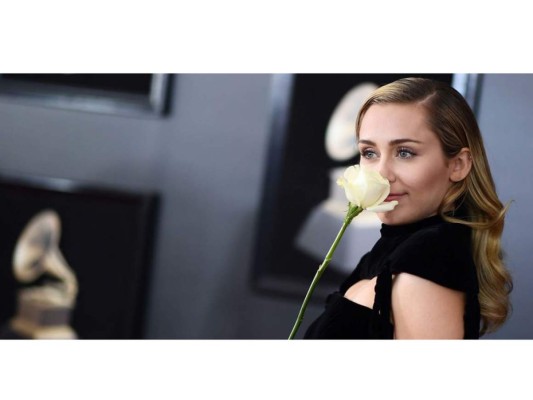 ¿Por qué llevaban los famosos una rosa blanca en los Grammy?