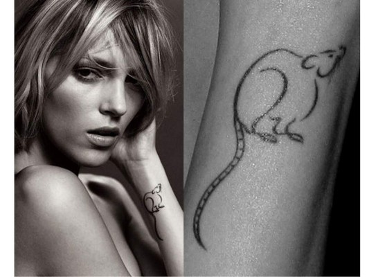 Anja RubikCon dos padres cirujanos veterinarios, no es sorpresa que la modelo polaca es una amante de los animales. Anja tiene un tatuaje de su mascota rata, Phoebe, en la parte interna de su muñeca.