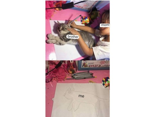 Los mejores memes de la niña que dibuja a su gato