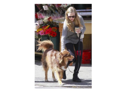 Amanda Seyfried Amanda Seyfried