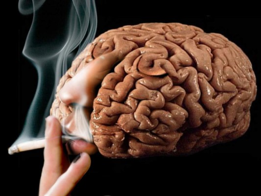 Evita el consumo de drogas: El alcohol, las drogas y el tabaco son hábitos que degeneran el funcionamiento cognitivo, estos afectan directamente el cerebro pues alteran los niveles de hormonas generadas.