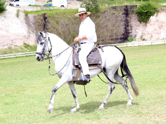 Exhibición de caballos peruanos de paso en Tegucigalpa