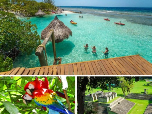 Honduras, un país lleno de naturaleza, playas, actividades extremas y aventura sin igual. Son miles las personas que vienen a vacacionar y a disfrutar de la vida en este país centroamericano. ¿Qué lugares recomiendan los turistas en TripAdvisor? Te lo contamos