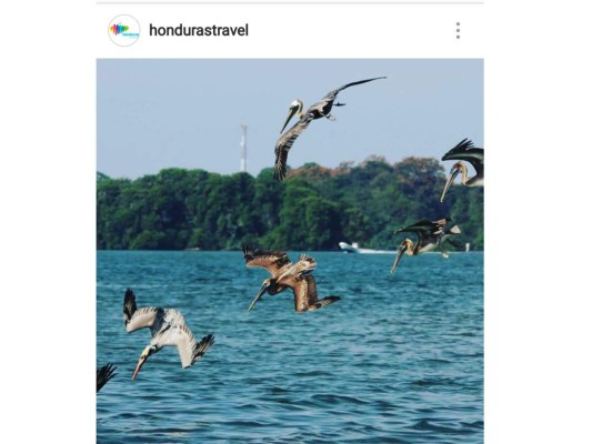 Cuentas hondureñas de Instagram para seguir en estas vacaciones
