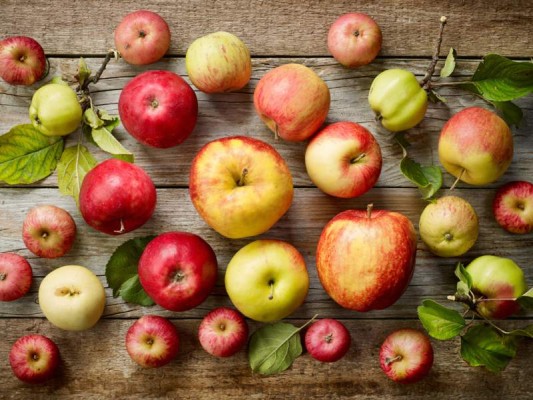 1.ManzanasHay un refrán famoso que dice “Una manzana al día, del médico te libraría”. Esto no puede ser más cierto ya que las manzanas tienen antioxidantes que te ayudan a fortalecer tu sistema inmune.