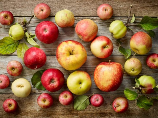 1.ManzanasHay un refrán famoso que dice “Una manzana al día, del médico te libraría”. Esto no puede ser más cierto ya que las manzanas tienen antioxidantes que te ayudan a fortalecer tu sistema inmune. 1.ManzanasHay un refrán famoso que dice “Una manzana al día, del médico te libraría”. Esto no puede ser más cierto ya que las manzanas tienen antioxidantes que te ayudan a fortalecer tu sistema inmune.