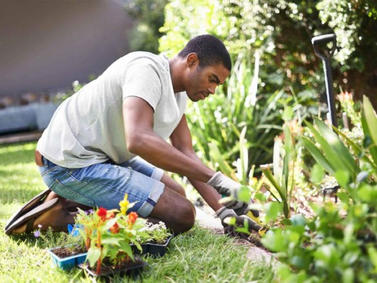 7. Cuida tu jardín<br/>Si tienes plantas y no te ha quedado tiempo de cuidarlas ¡ahora es cuando! Es hora de poner bonito tu jardín, eliminando las plantas muertas, regándolas y cambiando de maseteros. Tus plantas te lo van a agradecer y tu patio lucirá hermoso.<br/>