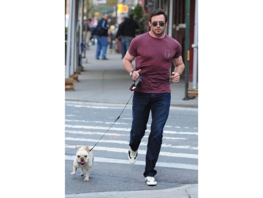 Hugh Jackman y su Bulldog