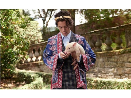 Harry Styles protagoniza nueva campaña de Gucci, con cerdos y cisnes