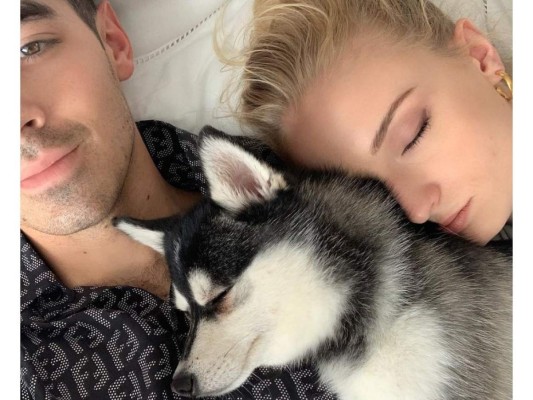 Sophie y Joe Jonas van a terapia tras pérdida de su perro Waldo