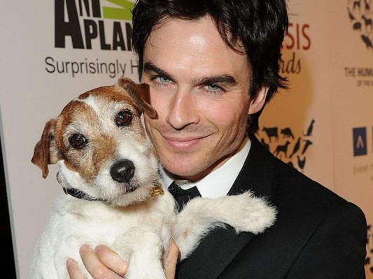 Ian somerhalder y su cachorro<br/><br/>Ellos a pesar de tus regaños por sus travesuras, te ama incondicionalmente y en su corazón no existe ni un centímetro de rencor.<br/>