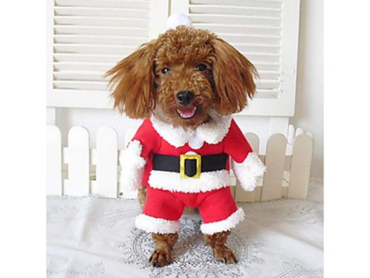 Ideas para vestir a tu mascota en Navidad