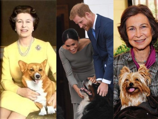 Las familias reales europeas suelen ser muy amantes de las mascotas, en especial los perros. A continuación te presentamos algunos de los más populares: