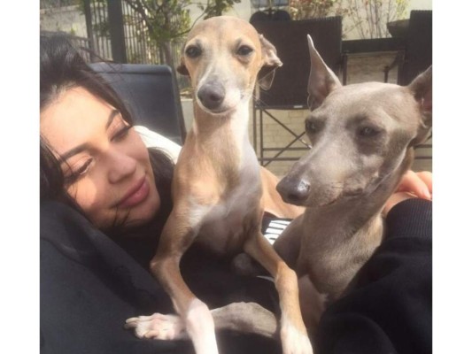Kylie Jenner, Bambie y Norman<br/><br/>San Valentín es la excusa perfecta para demostrar el valor y afecto que le tenemos a esos seres que nos hacen felices; nuestra pareja, familia, amigos y ¿porque no? nuestro cachorro.<br/>