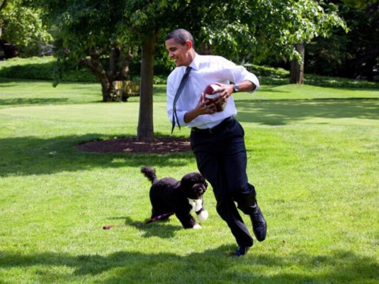 Barack Obama y Bo<br/><br/>¡Sí! tu perro. Ese peludo de cuatro patas que cada mañana espera ansioso a que despiertes para darte los buenos días.