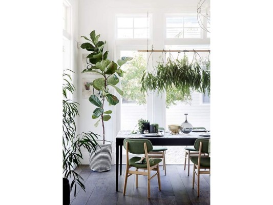 <br/>Si cuentas con cielos altos incorpora plantas de tamaños XL que se vuelvan un objeto decorativo con rotunda presencia. También puedes probar colgarlas sobre los muebles protagonistas del espacio, como la mesa del comedor.<br/>