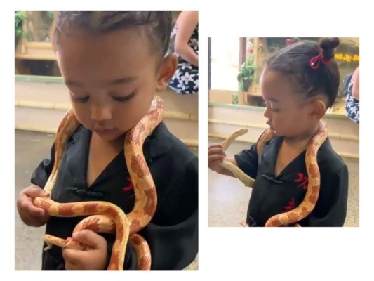 Hija de Kim Kardashian juega con una serpiente