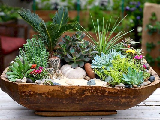 Al decorar con plantas debes ser muy creativo con la disposición de las mismas. Los amantes de las suculentas y cactus pueden recrear pequeños oasis en bases amplias, con piedras y arena. ¡Podría darle vida nueva a tu mesa de sala!