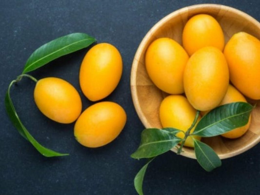 Control de la diabetes: por increíble que parezca, esta bebida aporta antocianinas, las cuales son necesaria para tratar la diabetes en su etapa temprana. La infusión ayuda al tratamiento de la hiperglucemia ya que las hojas contienen un elemento llamado Karaksero-3beta el cual estimula la síntesis del glucógeno.