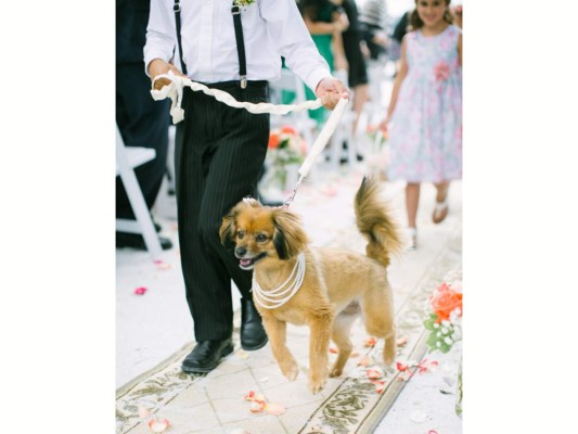 Perros, protagonistas de las bodas