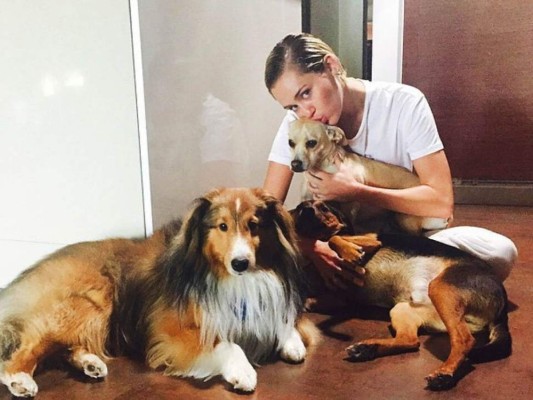Miley Cyrus y sus consentidos perros
