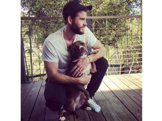 Liam Hemsworth y Tani<br/><br/>El peludo cada tarde está en la puerta esperando a que llegues a casa para recibirte con amor.