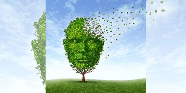 4. Es un factor de riesgo para el deterioro cognitivo y la demencia relacionada con la edad. 4. Es un factor de riesgo para el deterioro cognitivo y la demencia relacionada con la edad.