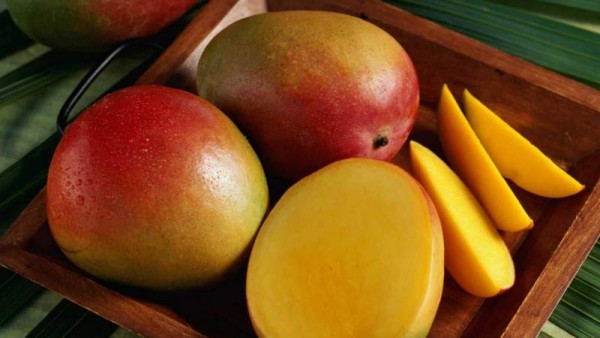 3. Ayuda a tu piel y cabelloGracias a la vitamina A que se encuentra en el mango, este nutriente ayuda a mantener tu cabello hidratado al igual que beneficia al crecimiento de tejidos corporales incluyendo la piel. 3. Ayuda a tu piel y cabelloGracias a la vitamina A que se encuentra en el mango, este nutriente ayuda a mantener tu cabello hidratado al igual que beneficia al crecimiento de tejidos corporales incluyendo la piel.