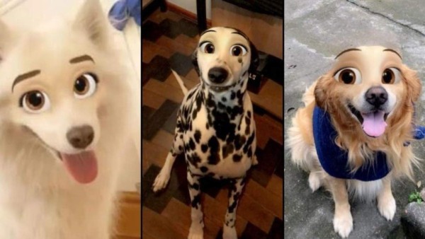 El filtro de Snapchat que convierte a tu perrito en un personaje de Disney